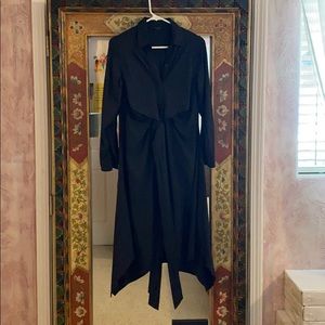 Trapeze knee length long sleeve dress